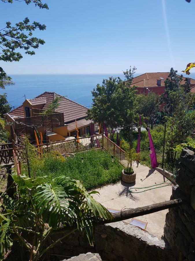 Dazk Golden Estate Hotel Ribeira Brava Eksteriør billede