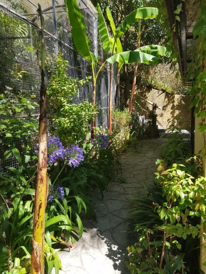 Dazk Golden Estate Hotel Ribeira Brava Eksteriør billede